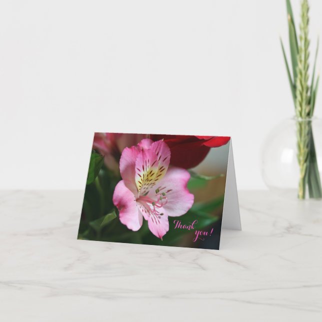 Hermoso Carte de remerciements (Devant)