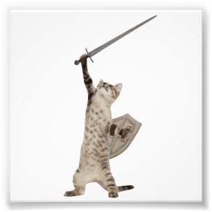 Heroische Kriegers-Ritter-Katze Fotodruck