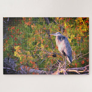 Heron