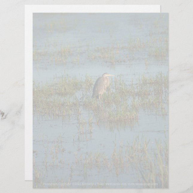 Heron 6937 (Vorne/Hinten)