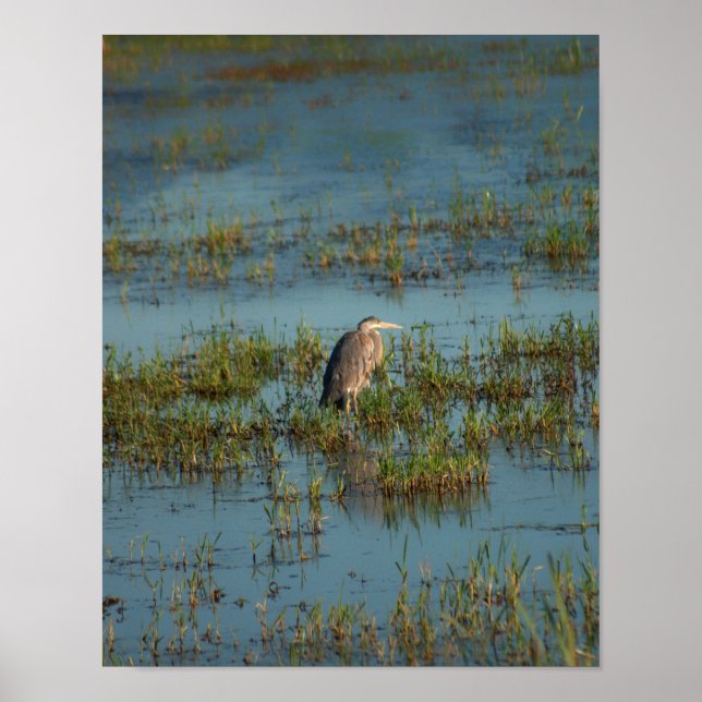 Heron 6937 poster (Vorne)