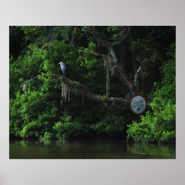 Heron and Lazy River Poster Print (Vorne)