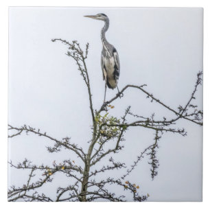 Heron auf Baumansicht Keramik Kachel