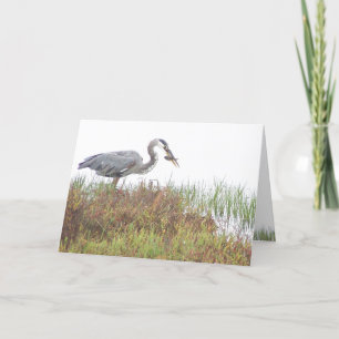 Heron Bird Wildlife Animals Wetlands Karte
