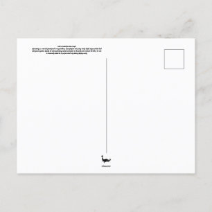 Heron Couple Postcard Postkarte