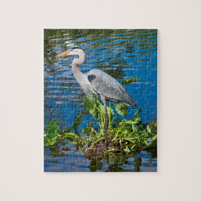 Héron de grand bleu au puzzle d'étang (Vertical)