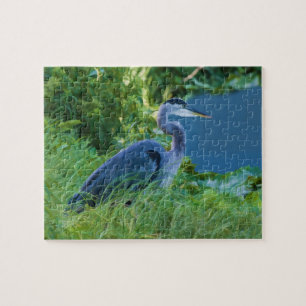 Héron de grand bleu au puzzle d'étang