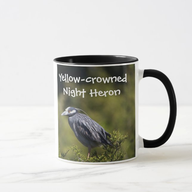 Héron de nuit à couronne jaune Mug (Droite)