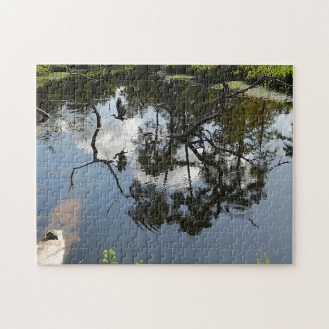 Heron, der über den Teich fliegt; Natur (Horizontal)