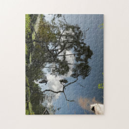 Heron, der über den Teich fliegt; Natur