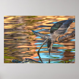 Heron Fischerei am See Poster