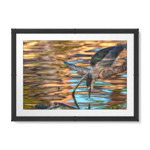 Heron Fischerei am See