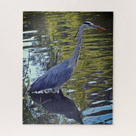 Heron Fütternd im Teich bei RHS Wisley, Vereinigte