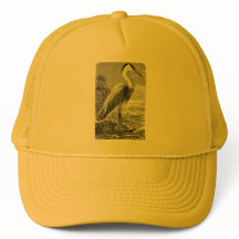 Heron Hat