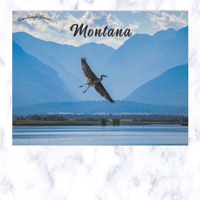 Heron im Schutzgebiet Ninepipe Wildlife in Montana Postkarte (Von Creator hochgeladen)