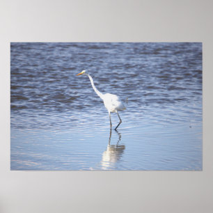 Heron im Wasserposter Poster