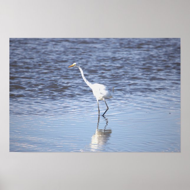 Heron im Wasserposter Poster (Vorne)