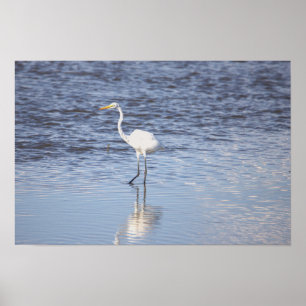 Heron im Wasserposter Poster