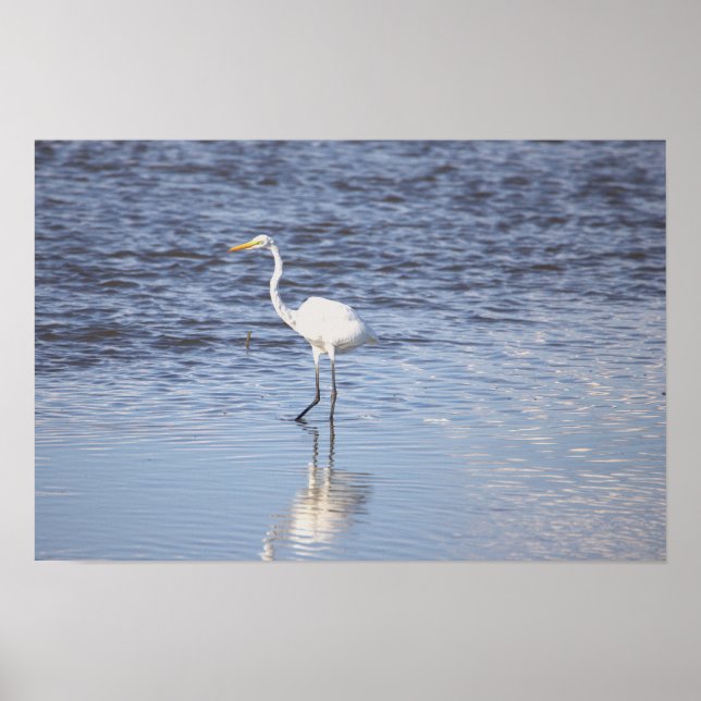 Heron im Wasserposter Poster (Vorne)