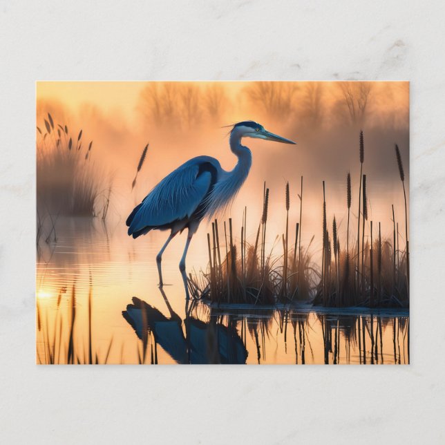 Heron in a Misty Marsh at Sunrise Postkarte (Vorderseite)