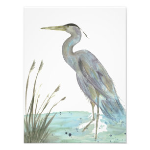Heron in der Marsh Watercolor Fotodruck