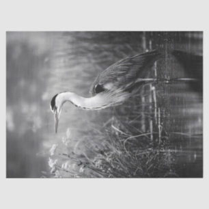 Heron in der Schwarz-Weiß-Dekoupage des Marsches Seidenpapier