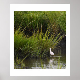 Heron in Marsh Poster
