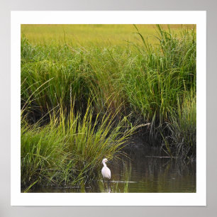 Heron in Marsh Poster