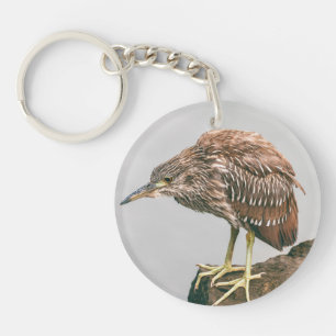Heron juvénile