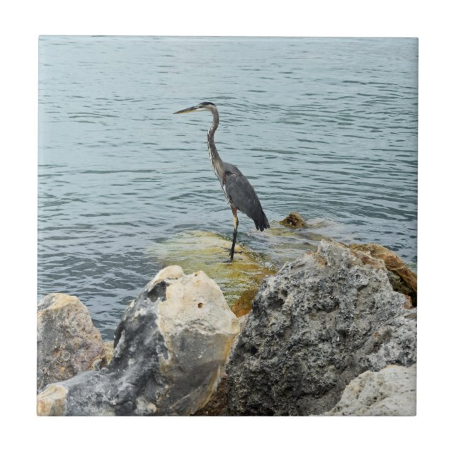 Heron On Rocks At The Beach Fliese (Vorderseite)
