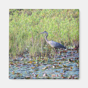 Heron P6450 Magnet