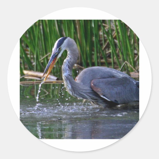Heron Splash Runder Aufkleber (Vorderseite)