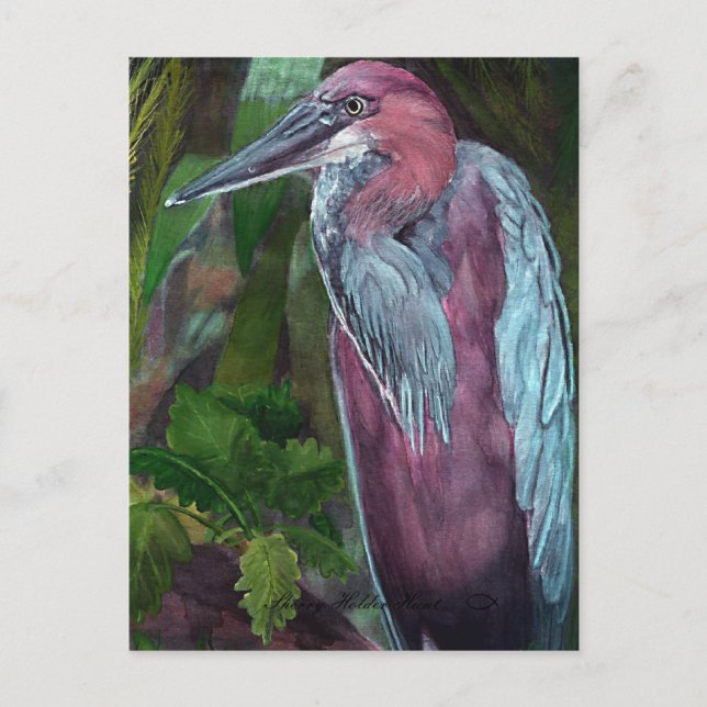 Heron Stehend allein 2 Postkarte (Vorderseite)