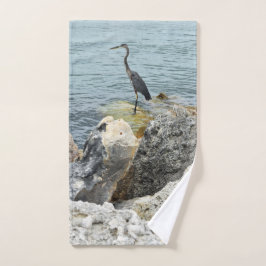 Heron Sur Les Rochers À La Plage