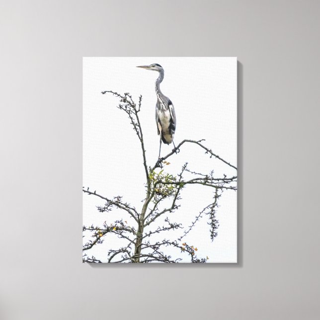 Heron sur une image de toile vue arbre (Recto)