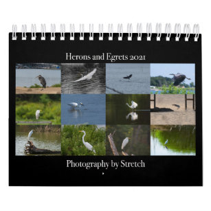 Heron und Egret Fotografie 2021 Kalender