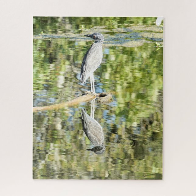 Heron (und Reflektion am Teich; Natur (Vertikal)
