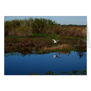 Heron volant reflété