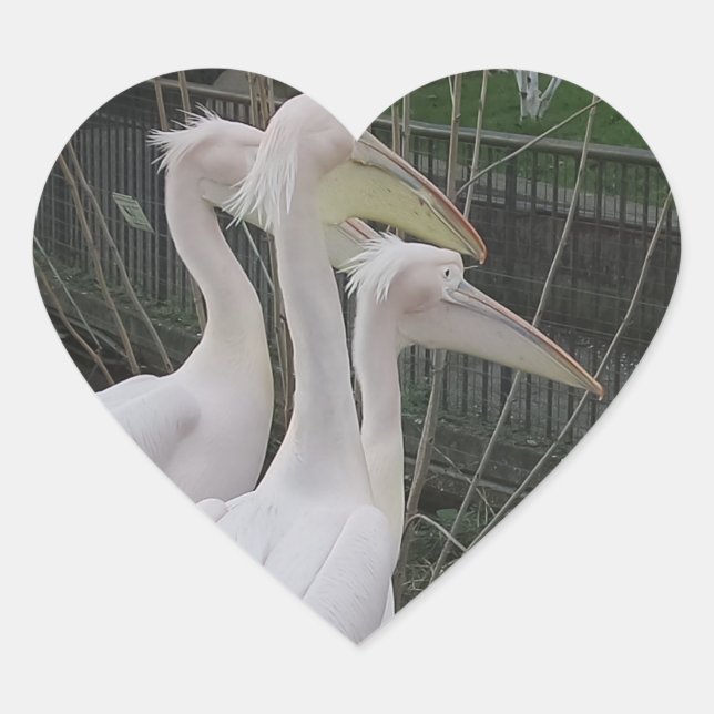 Herons Heart Sticker (Vorderseite)