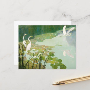 Herons im Sommer von Newell Convers Wyeth Feiertagspostkarte