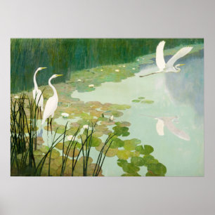 Herons im Sommer von Newell Convers Wyeth Poster