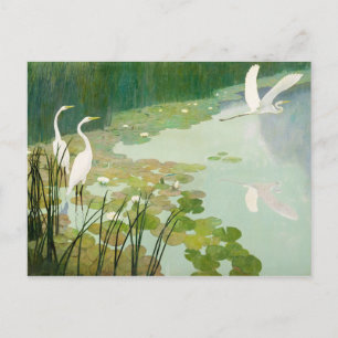 Herons im Sommer von Newell Convers Wyeth Postkarte