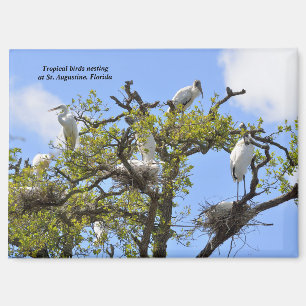 Herons und Holzstürme Magnet