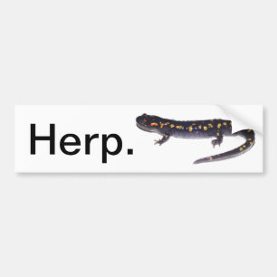 Herp. Autoaufkleber (Salamander-Version)