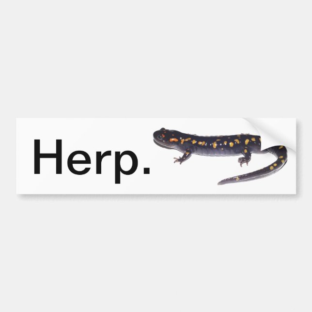 Herp. Autoaufkleber (Salamander-Version) (Vorne)