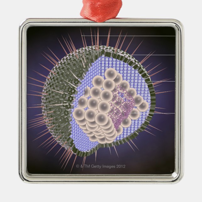 Herpes-Virus-Struktur Silbernes Ornament (Vorne)