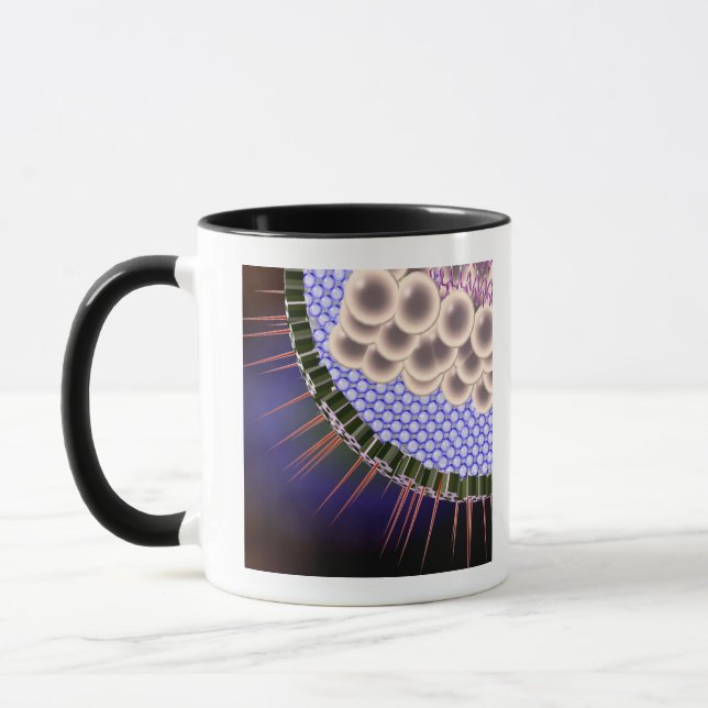 Herpes-Virus Tasse (Links)
