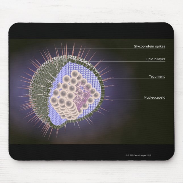 Herpes-Virusstruktur Mousepad (Vorne)