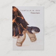 Herpetologe Doppelseitig