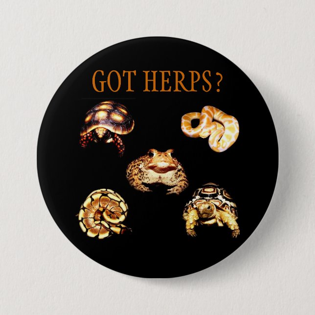 Herps Knopf Button (Vorderseite)